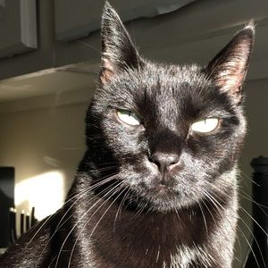 Meet your Posher, Brad